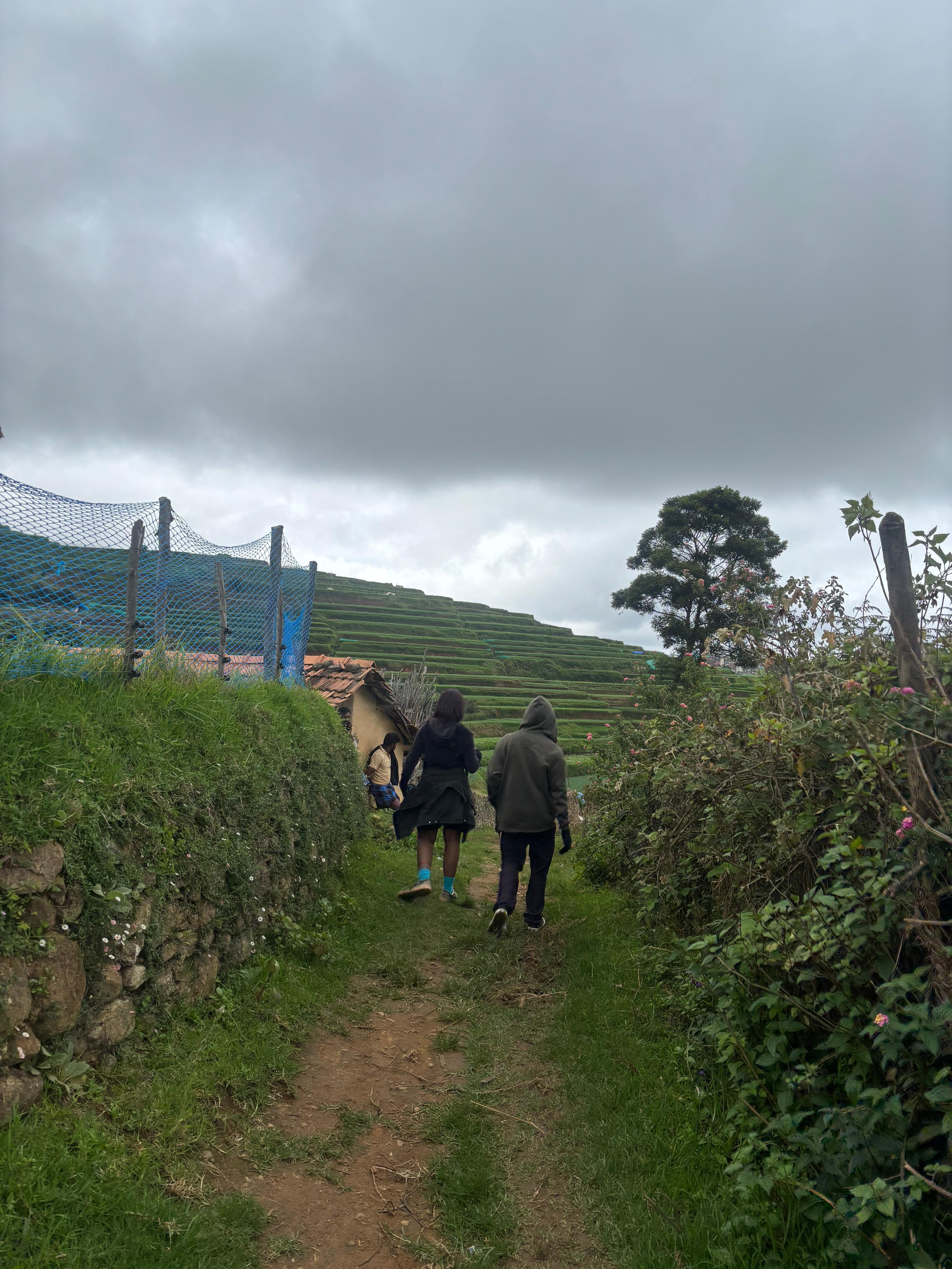 Hiking 1